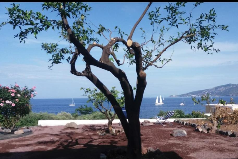 Villa Insolia Santa Marina Salina Rom bilde